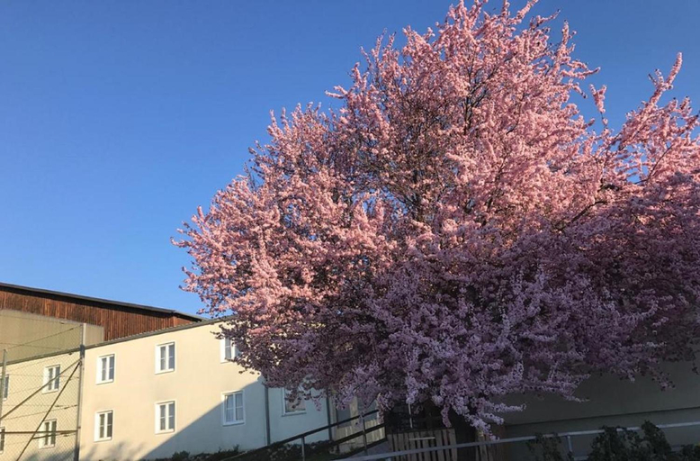 Others 4, Landpension Gschwantner, Krems an der Donau Land