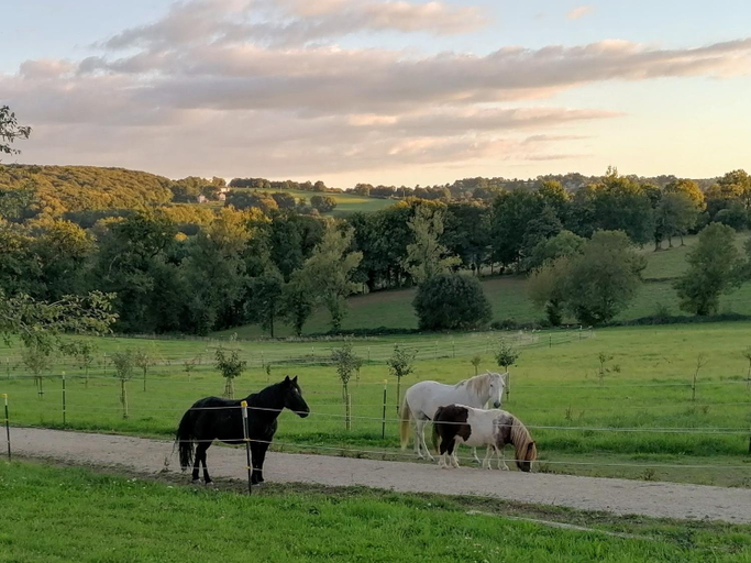 Others 2, Le Temps Serein Chambres et Tables d'Hote, Aveyron