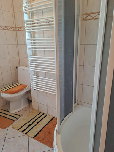 Bathroom 4, Zlota Roza, Toruń
