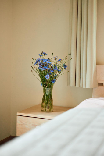 Bedroom 2, Sodyba Monciskes, Palangos