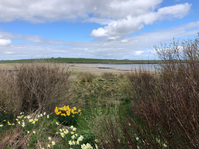 Others 4, Old School B&B Super King Exclusive 5 Room private suite, Orkney Islands