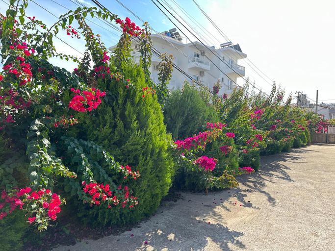 Others 3, Villa Nicolaos Ksamil, Sarandës