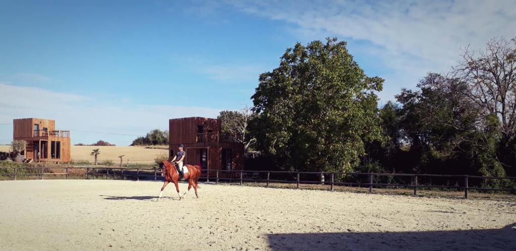 Others 3, Manege de la Chapiniere - DadaLoge tiny-house, Loir-et-Cher
