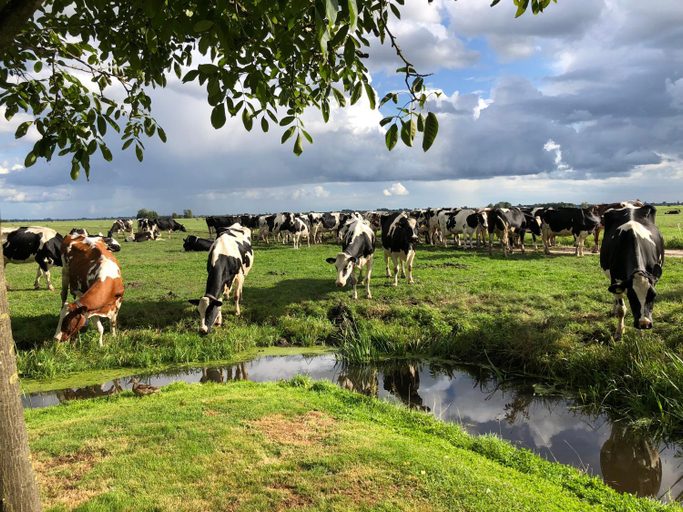 Others 3, Slapen op het platteland, Nieuwkoop