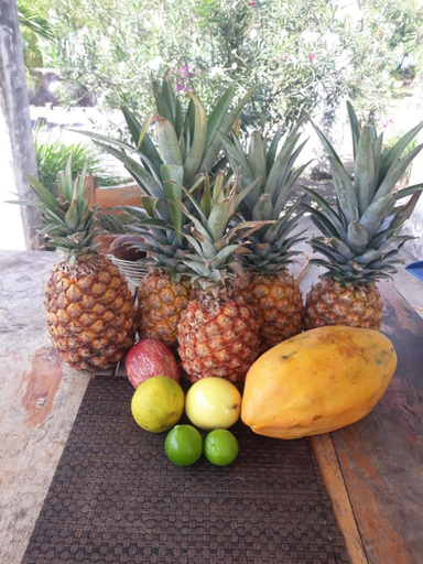 Food & Drinks 5, Rancho Tranquillo, Lago de Nicaragua