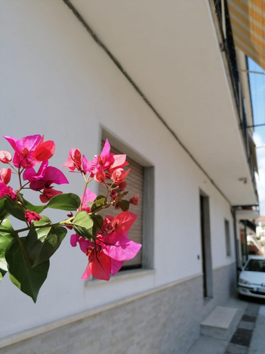 Others 4, Bouganville da Gio, Cosenza