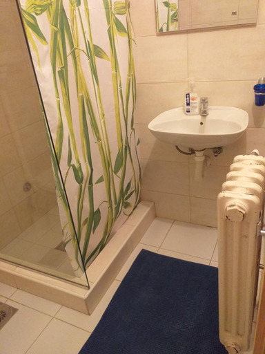 Bathroom 3, Lodging Vidmar, Sremski Karlovci