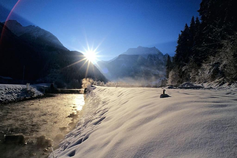 Others 3, Alpenrose, Schwaz