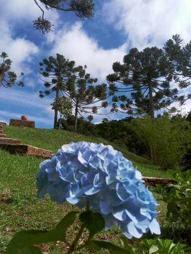 Others 4, Pousada Rural Encanto do Riacho, Bom Jardim da Serra