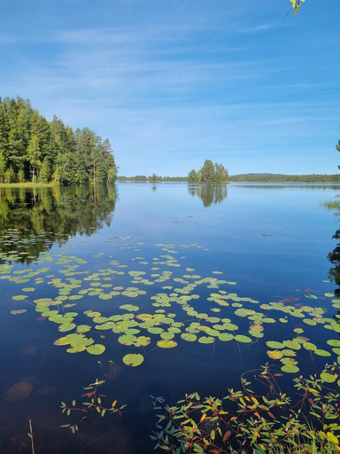 Others 4, Nastorp broa, room 1, Hagfors