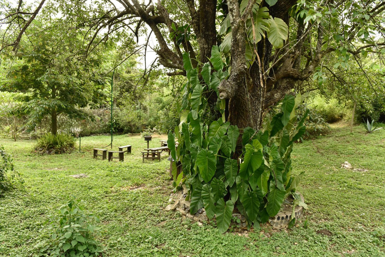 Others 4, Cabanas Sierra Gorda, Jalpan de Serra