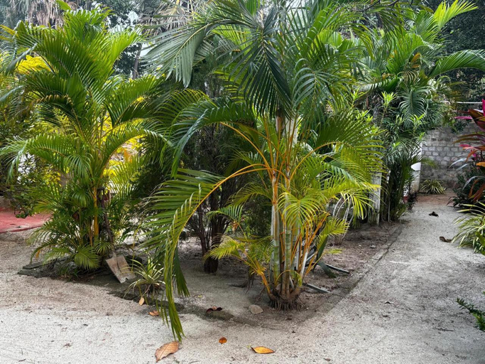 Others 3, Ubay Guest House, Trincomalee Town and Gravets