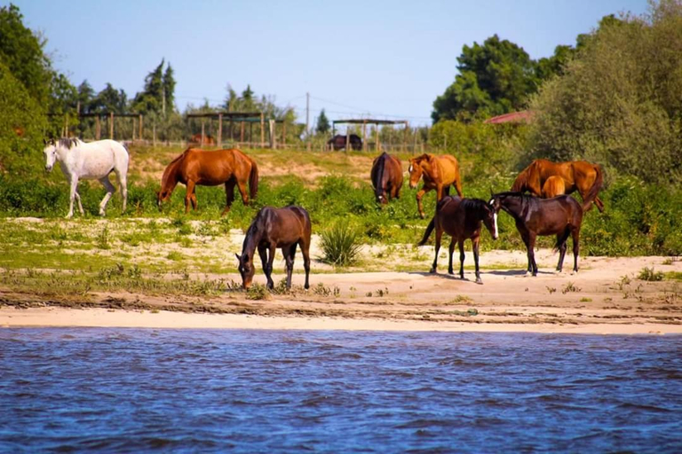 Others 5, AL Falcoaria e Lezirias, Salvaterra de Magos
