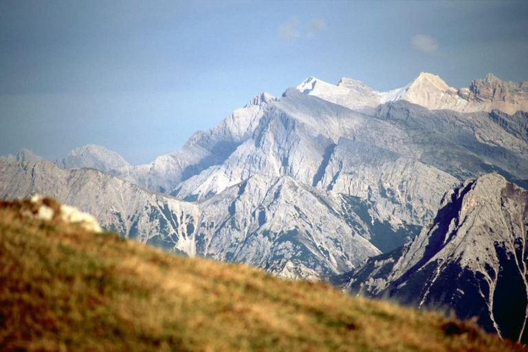 Others 5, Alpenrose, Schwaz