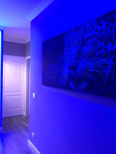 Public Area 3, Luxury Suite, Rimini