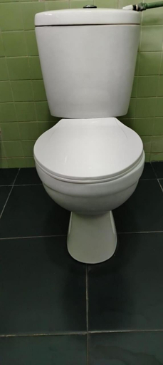 Bathroom 2, Hotel Lakeside, N. Palatha East