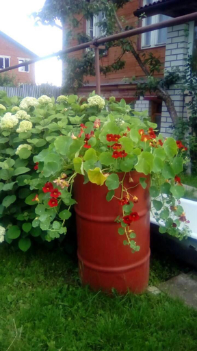 Others 5, Nadezhda, Suzdal'skiy rayon