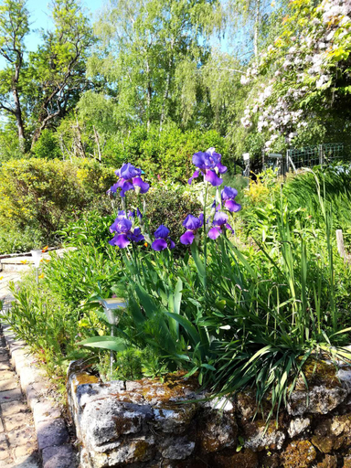 Others 5, Les Jardins de Camelot, Gironde