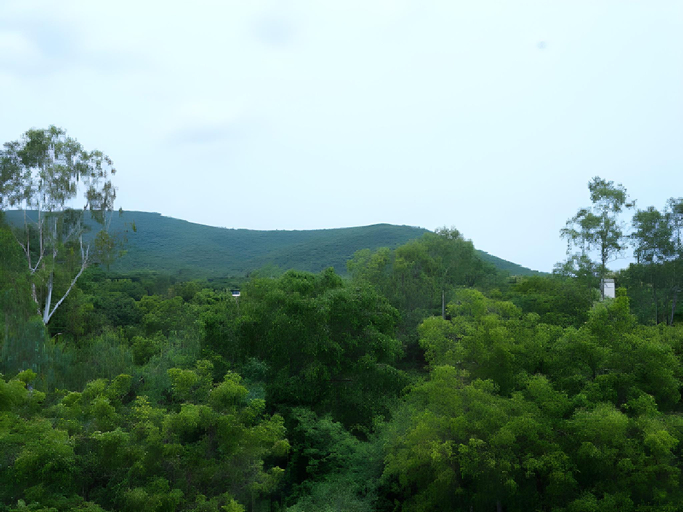 Others 4, Virsaa Holiday Home, Dindigul