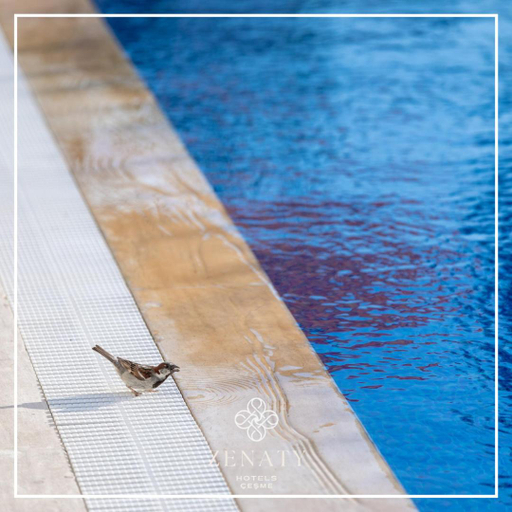 Others 4, Zenaty Hotels Cesme, Çeşme