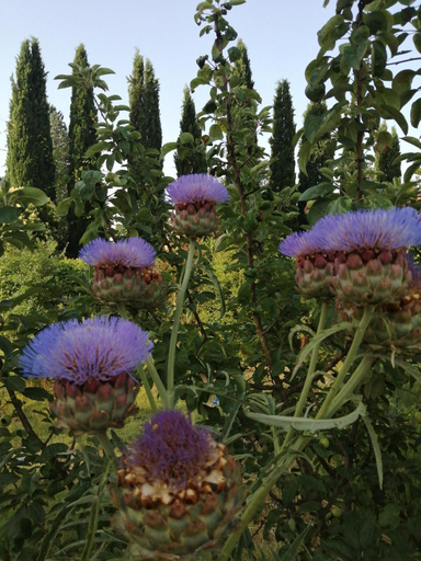 Others 3, B&B La Giara di Assisi, Perugia