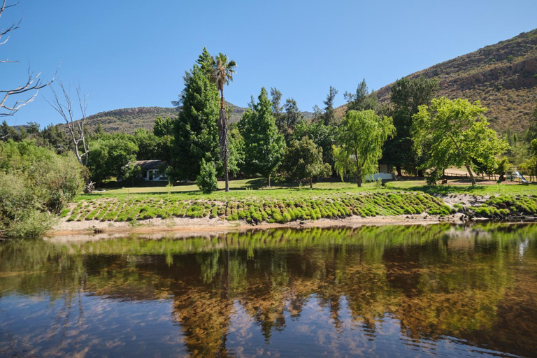 Surrounding environment 3, Boskloof Swemgat, West Coast