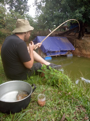 Sport & Beauty 2, Phong Nha Rice Field Homestay, Bố Trạch
