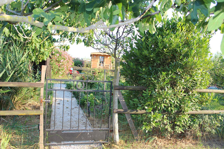 Others 4, Roulotte Lou Gregau, Bouches-du-Rhône