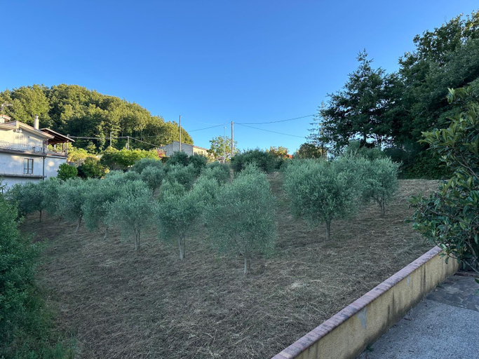 Others 5, Cinelli Apartment Stio Cilento - Relax tra Mare e Montagna - Wi-fi Self ceck-in, Salerno