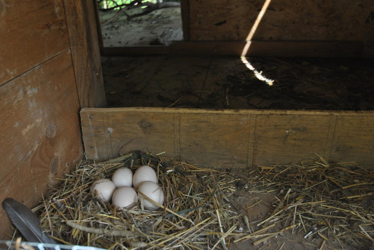 Others 3, Casa Pieve, Trento