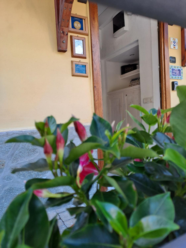 Others 5, Casello68, La Spezia