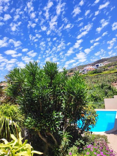 Others 4, Bluegreen, Calheta