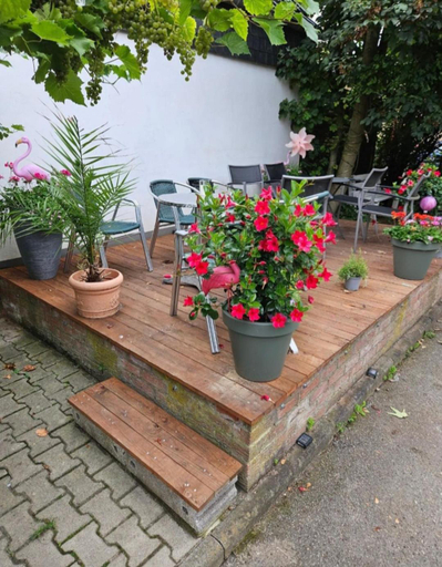 Others 4, Pension Mediterrano, Rhein-Erft-Kreis