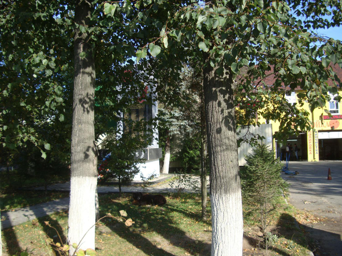 Others 5, Hostel Dom, Odintsovskiy rayon