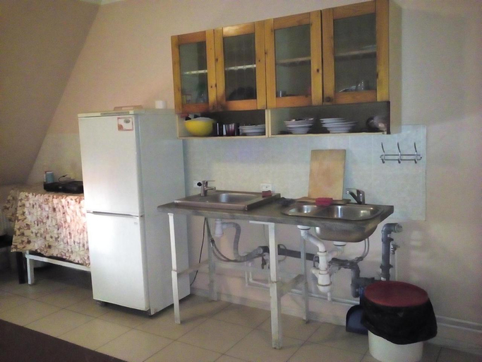 Others 3, Hostel Dom, Odintsovskiy rayon