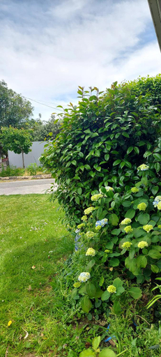 Others 3, 8 mins drive to the airport, Christchurch