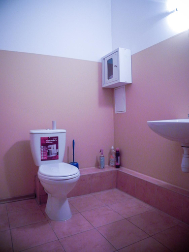 Bathroom 4, A&S Hostel Lomonosova, Solomians'kyi