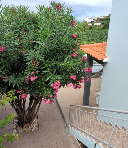 Others 3, Bluegreen, Calheta