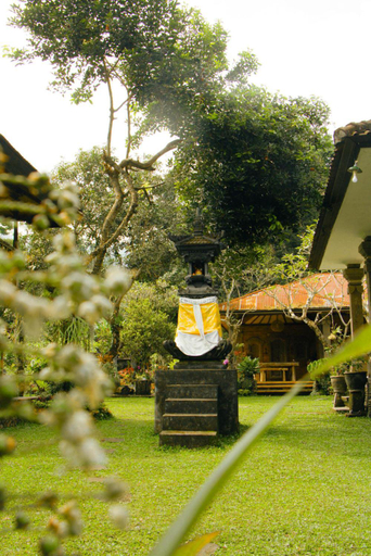 Exterior & Views 1, Mesari Cottage Guest House, Buleleng