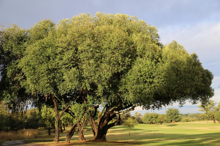 Others 4, Fairview Manor, Waterberg