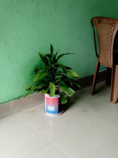 Lobby, Balbhadra Nibas, Puri