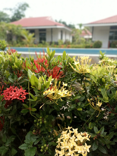 Others 3, Hof Waldeck Farmstay , Phrom Phiram