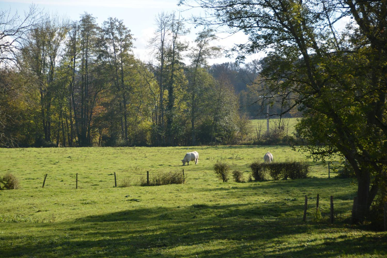 Others 3, Le moulin Grenon, Yonne