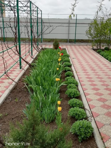 Others 3, Guesthouse Ugra na Primorskom, Eysk