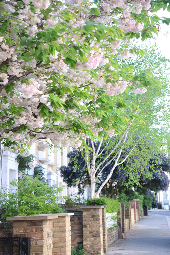 Exterior 3, The Quiet Corner, London