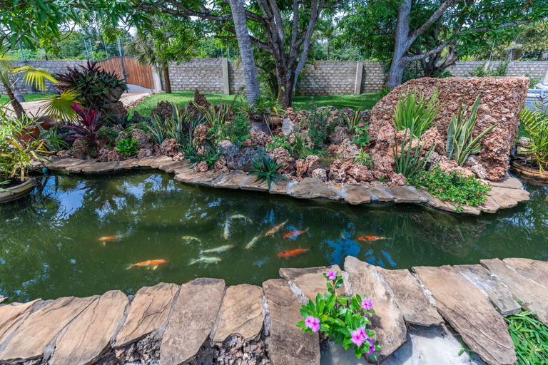 Public Area, Hibiscus, Msambweni