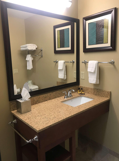 Bathroom 4, Best Western Plus Traverse City, Grand Traverse