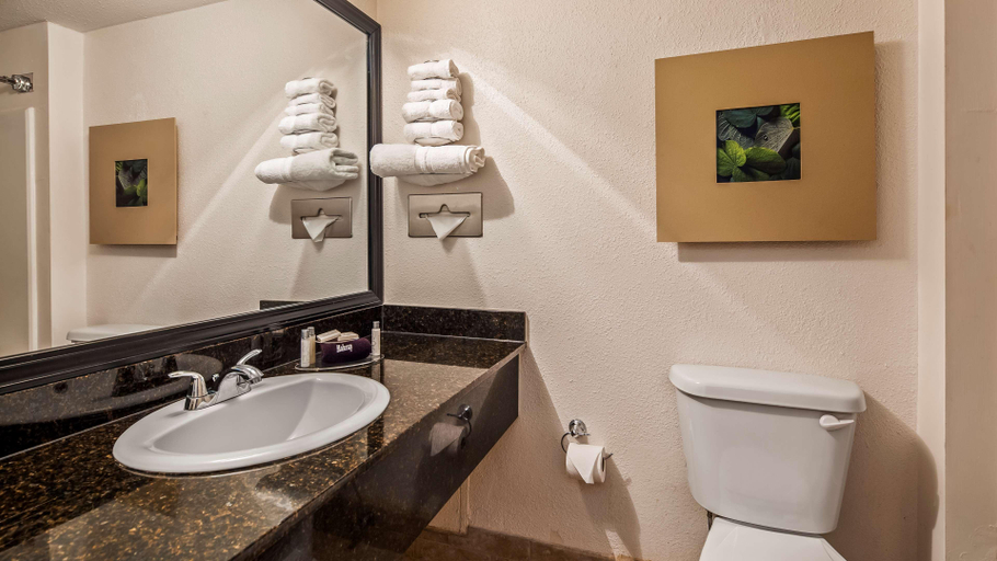 Bathroom 4, Magnolia Hotel, BW Signature Collection, Adams