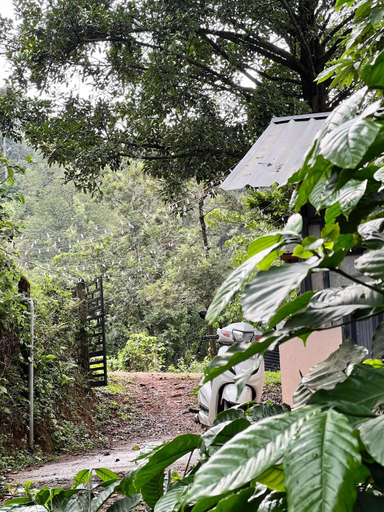 Others 2, Misty Cloud Resort, Wayanad