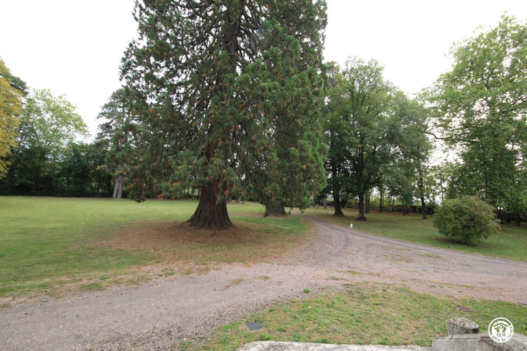 Others 4, Chateau des Metairies, Nièvre